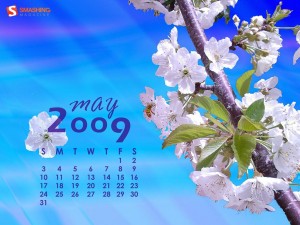 may-09-cherry-blossoms-calendar-1024x768