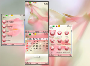 Spring_Blossom_Nokia_s40_Theme_by_Aquafeya